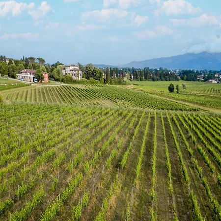 In Fattoria Sardi Wine In Lucca * Cappella